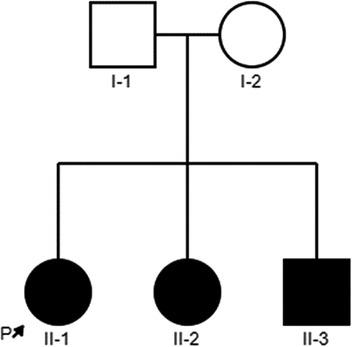 Case report: Clinical and genetic analysis of a family with nonsyndromic auditory neuropathy